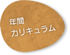 年間カリキュラム